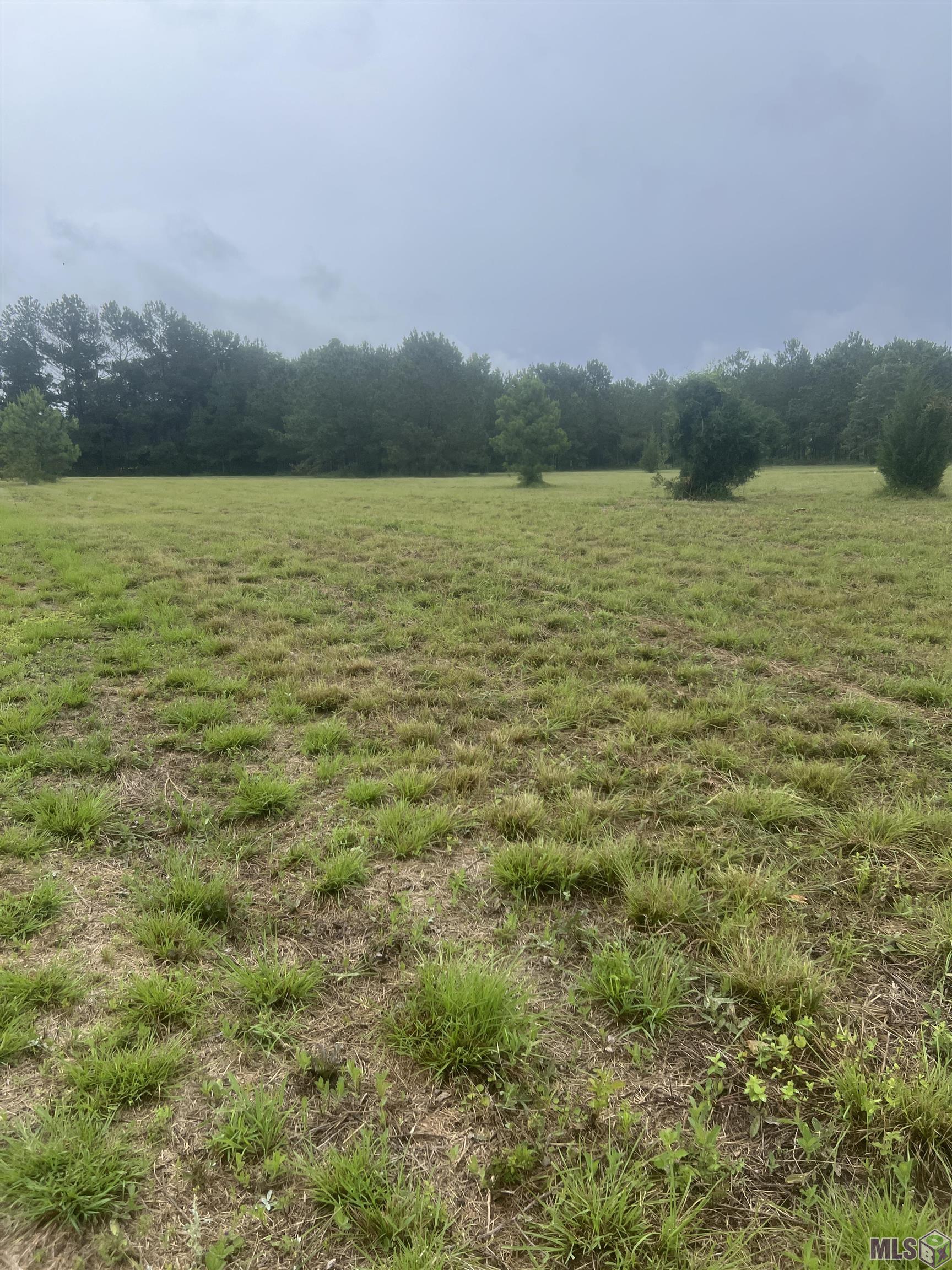 67 Clinton La Clinton, LA 70722 - Photo 4 of 4