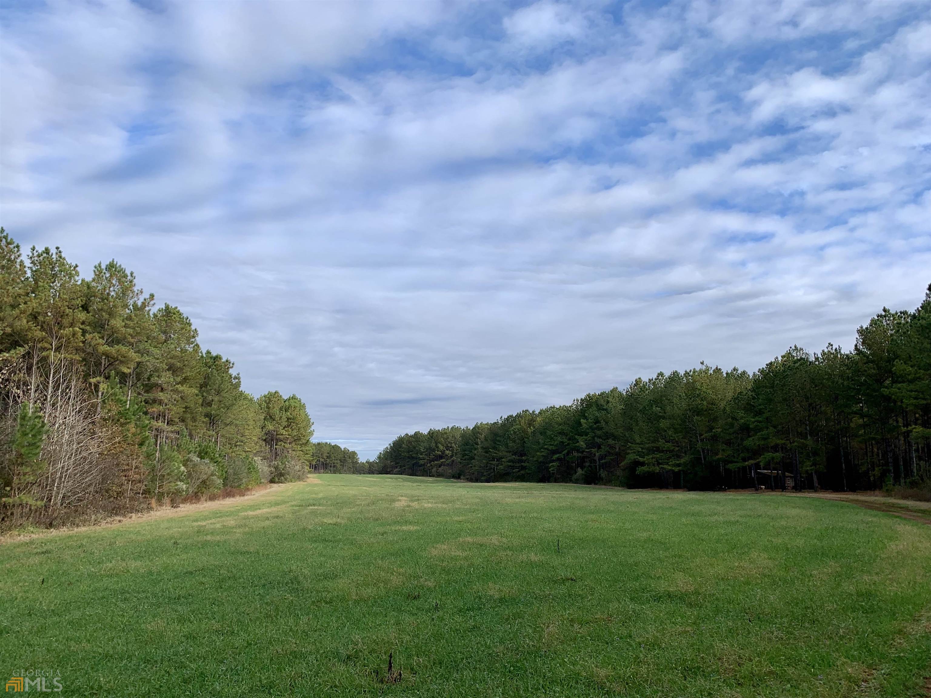 0 McMullen Road Forsyth, GA 31029 - Photo 1 of 1 a view of a grassy field
