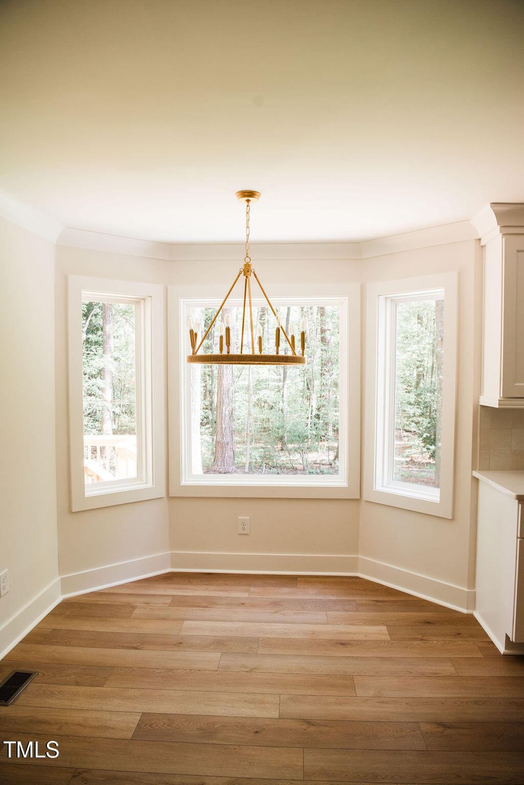 1326 Apache Lane Apex, NC 27502 - Photo 10 of 36 an empty room with wooden floor and windows