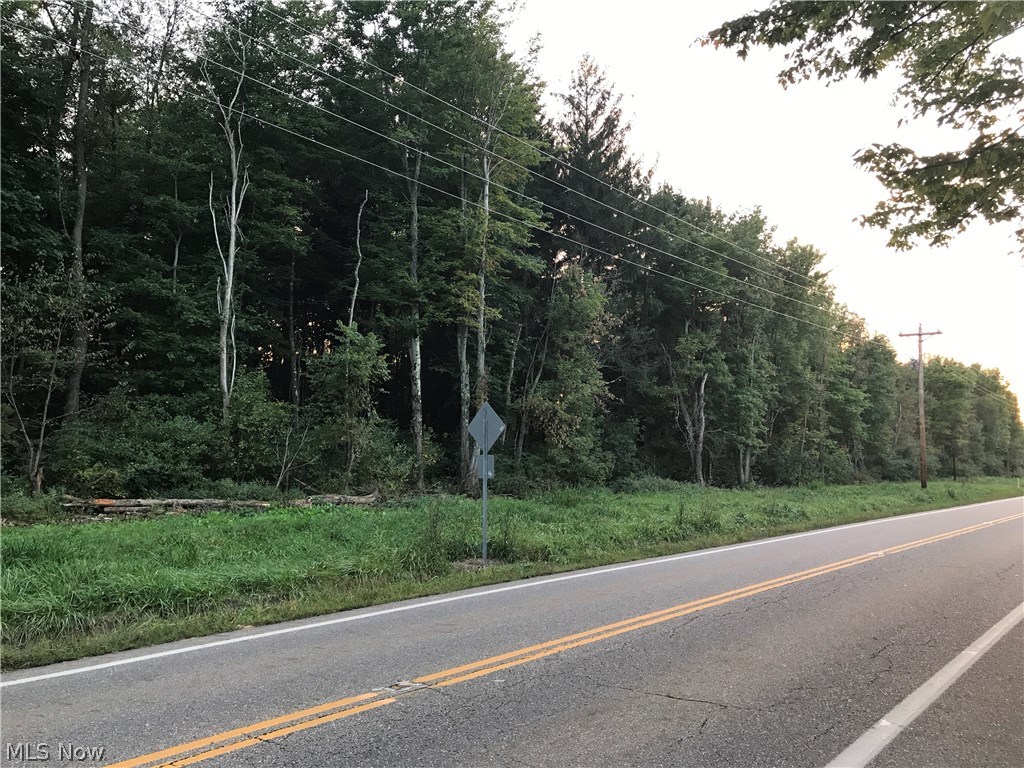 Waynesburg Road Northeast Dellroy, OH 44620 - Photo 2 of 5 Gallery Image 2