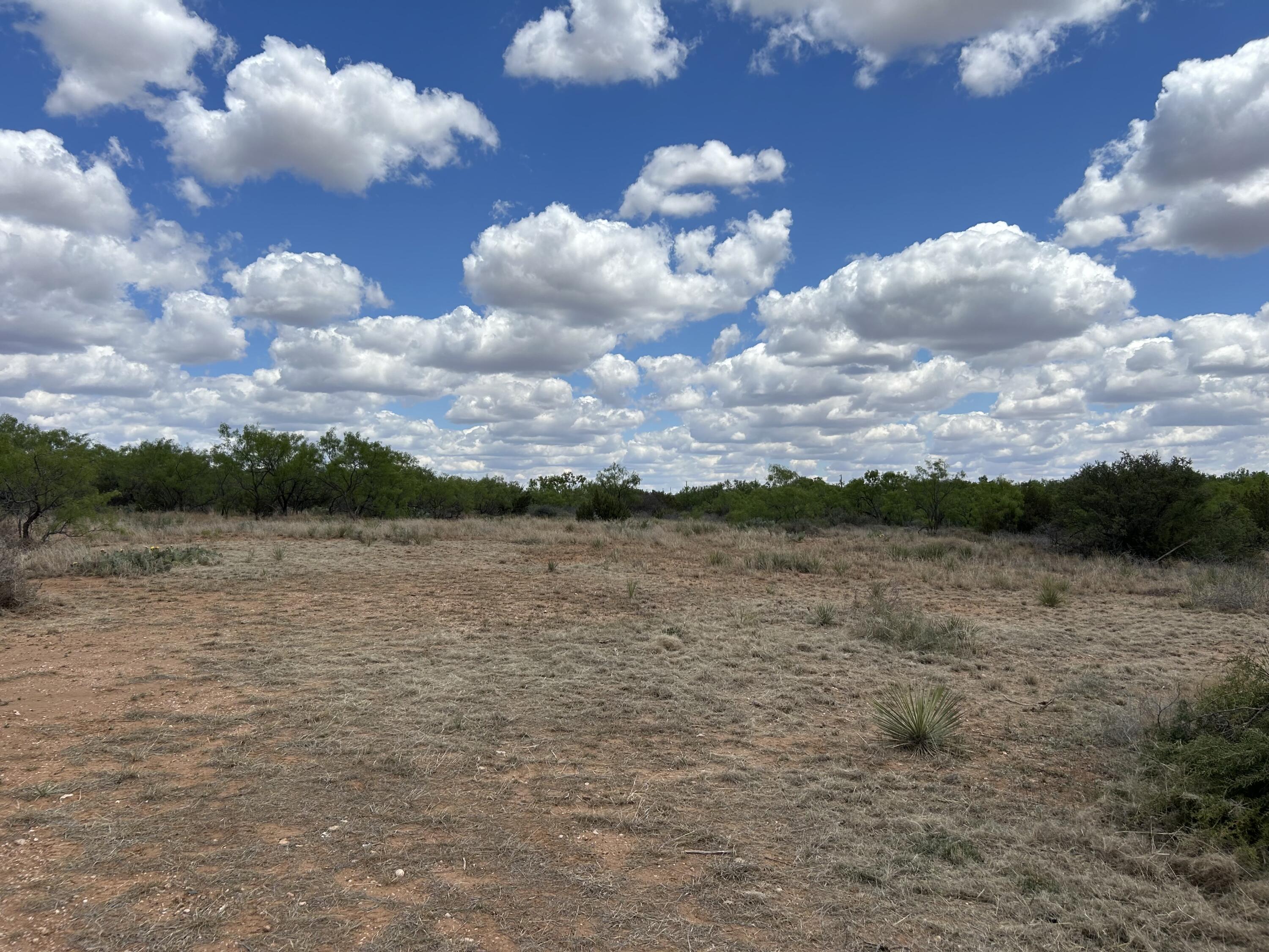 72-73 Fagan Road Snyder, TX 79549 - Photo 4 of 5 IMG_6818