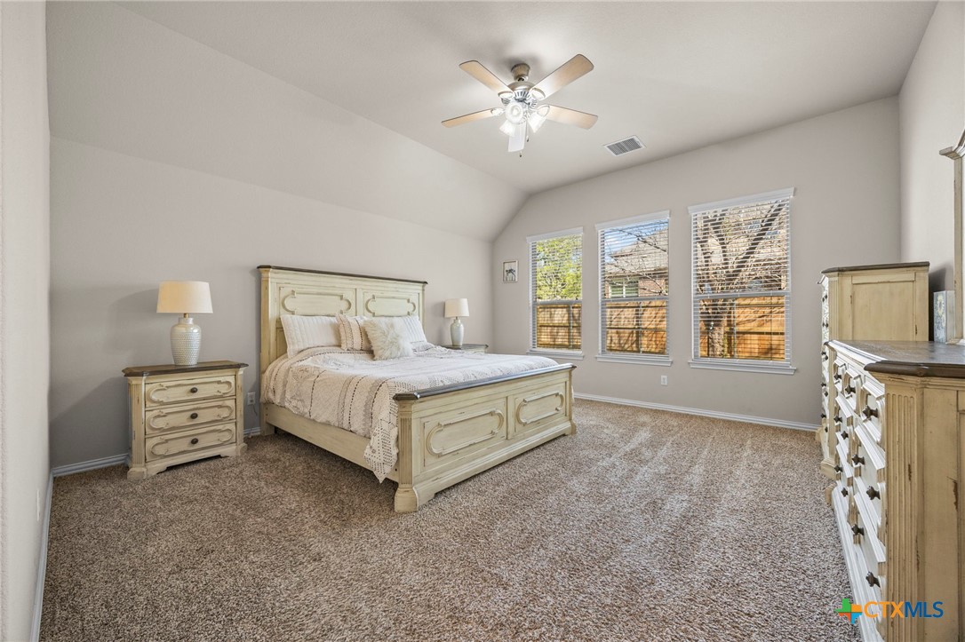 1205 Winding Way Drive Georgetown, TX 78628 - Photo 28 of 39 Primary bedroom with ceiling fan and carpet