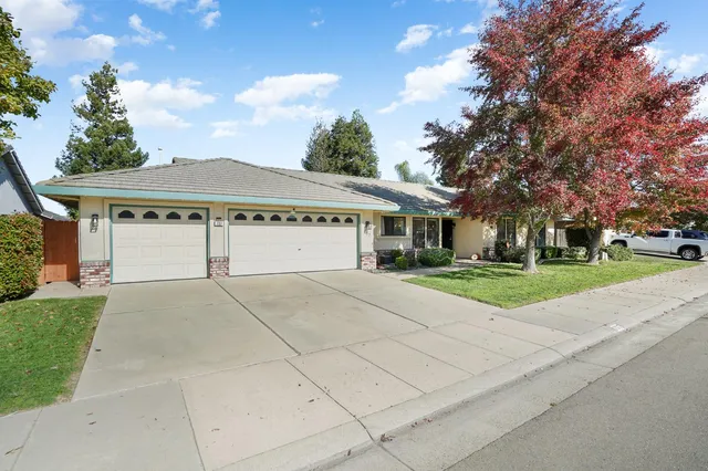 a view of a house with a yard plants and large tree