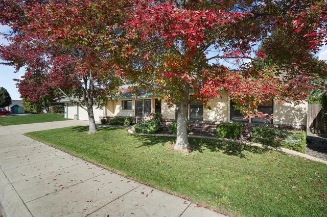 a view of a house with a tree in the yard