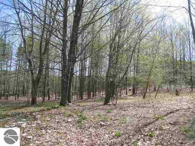 4058 Ludlow Road South Boardman, MI 49680 - Photo 27 of 44 1743277-26.JPG