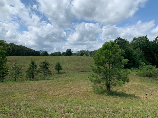 222 Garrison Road Hohenwald, TN 38462 - Photo 12 of 47 Gallery Image 12