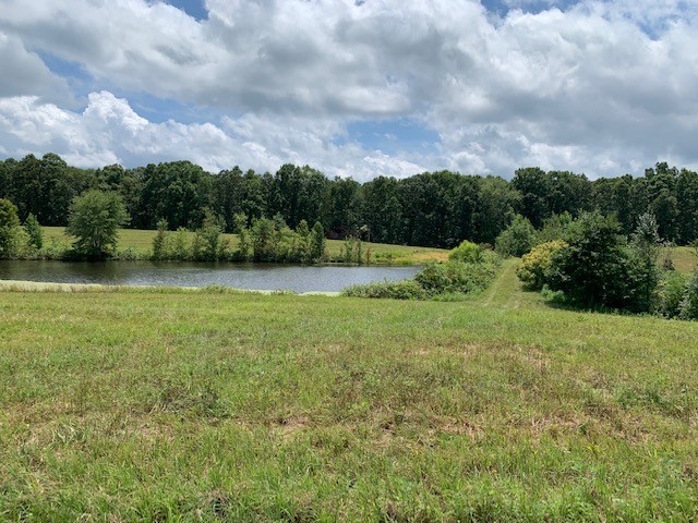 222 Garrison Road Hohenwald, TN 38462 - Photo 14 of 47 Gallery Image 14