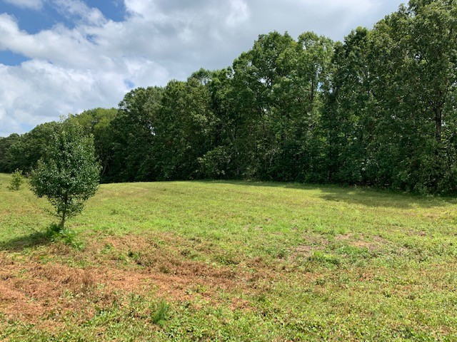 222 Garrison Road Hohenwald, TN 38462 - Photo 15 of 47 Gallery Image 15