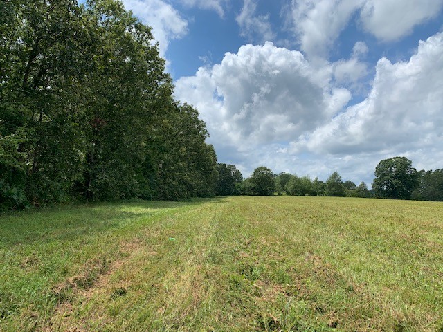 222 Garrison Road Hohenwald, TN 38462 - Photo 17 of 47 Gallery Image 17