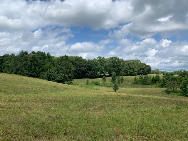 222 Garrison Road Hohenwald, TN 38462 - Photo 2 of 47 Gallery Image 2