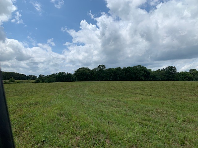222 Garrison Road Hohenwald, TN 38462 - Photo 31 of 47 Gallery Image 31