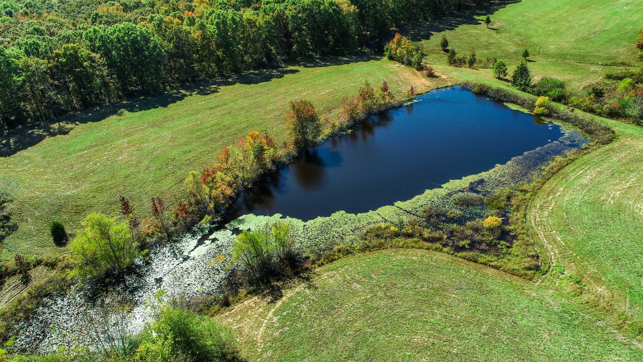 222 Garrison Road Hohenwald, TN 38462 - Photo 45 of 47 Gallery Image 45