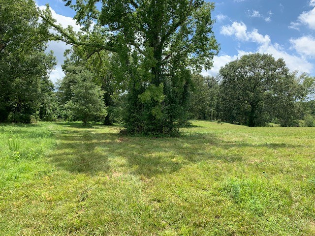 222 Garrison Road Hohenwald, TN 38462 - Photo 6 of 47 Gallery Image 6