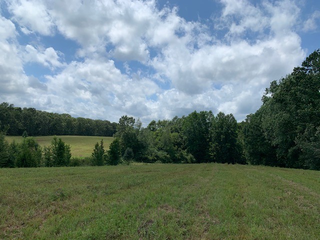 222 Garrison Road Hohenwald, TN 38462 - Photo 10 of 47 Gallery Image 10
