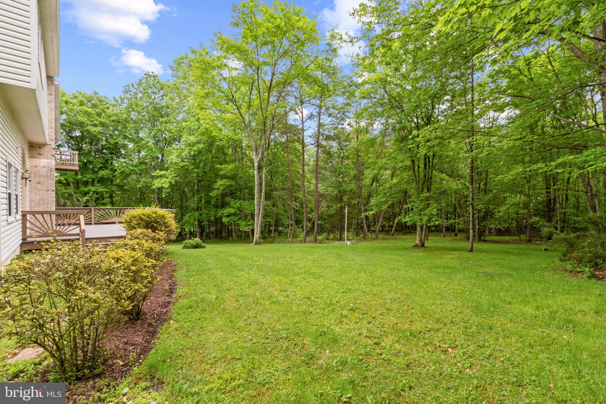 11809 Henderson Road Clifton, VA 20124 - Photo 49 of 59 Gallery Image 49