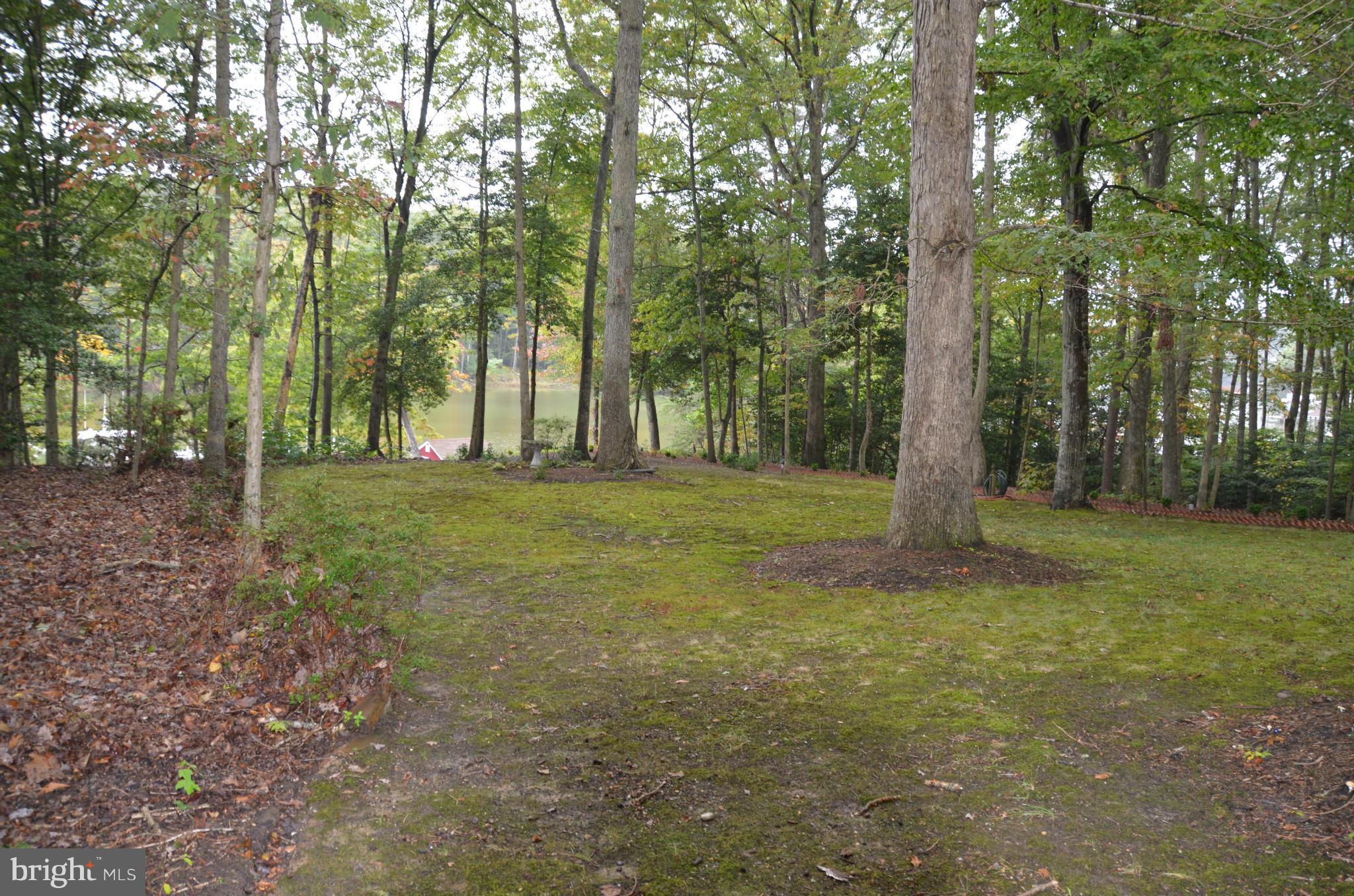 12717 Blair Road Lusby, MD 20657 - Photo 24 of 30 a view of a trees in a yard