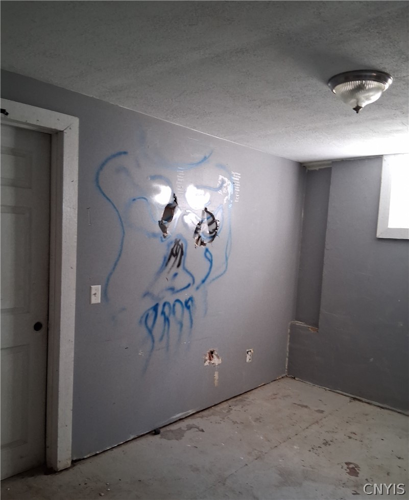 113 Emmons Road Lansing, NY 14882 - Photo 14 of 19 basement room