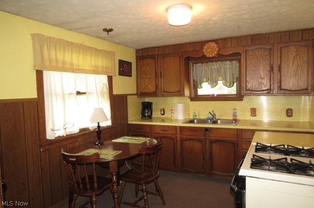 2268 North Ridge Road Elyria, OH 44035 - Photo 10 of 16 Kitchen