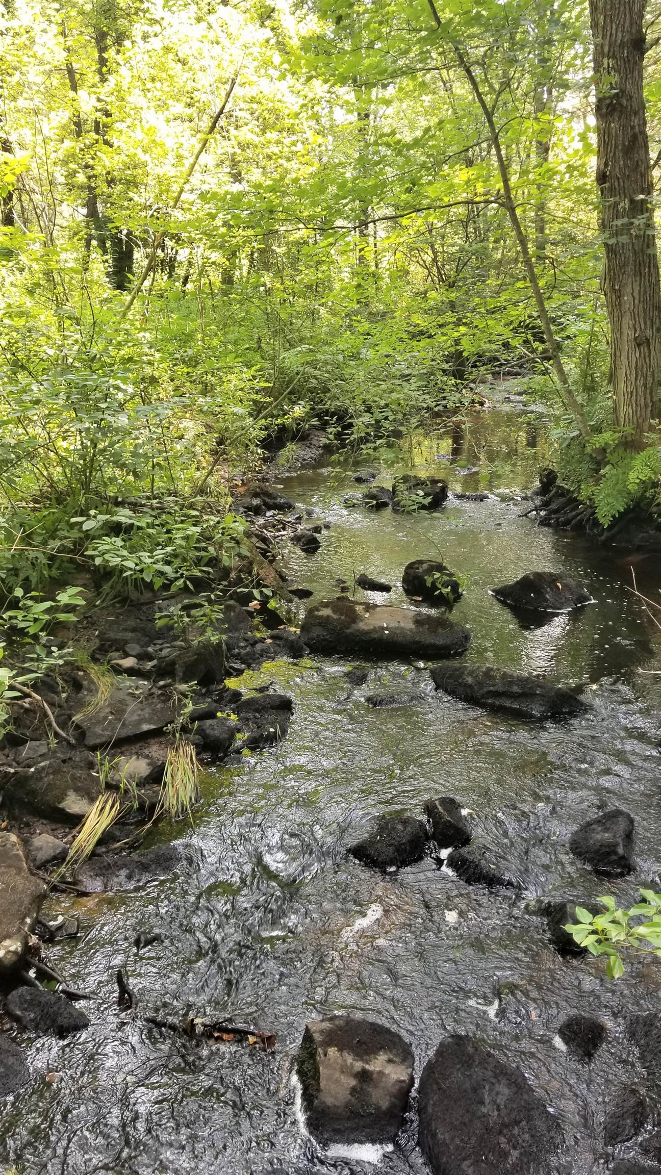 4 Ricker Road Loudon, NH 03307 - Photo 31 of 39