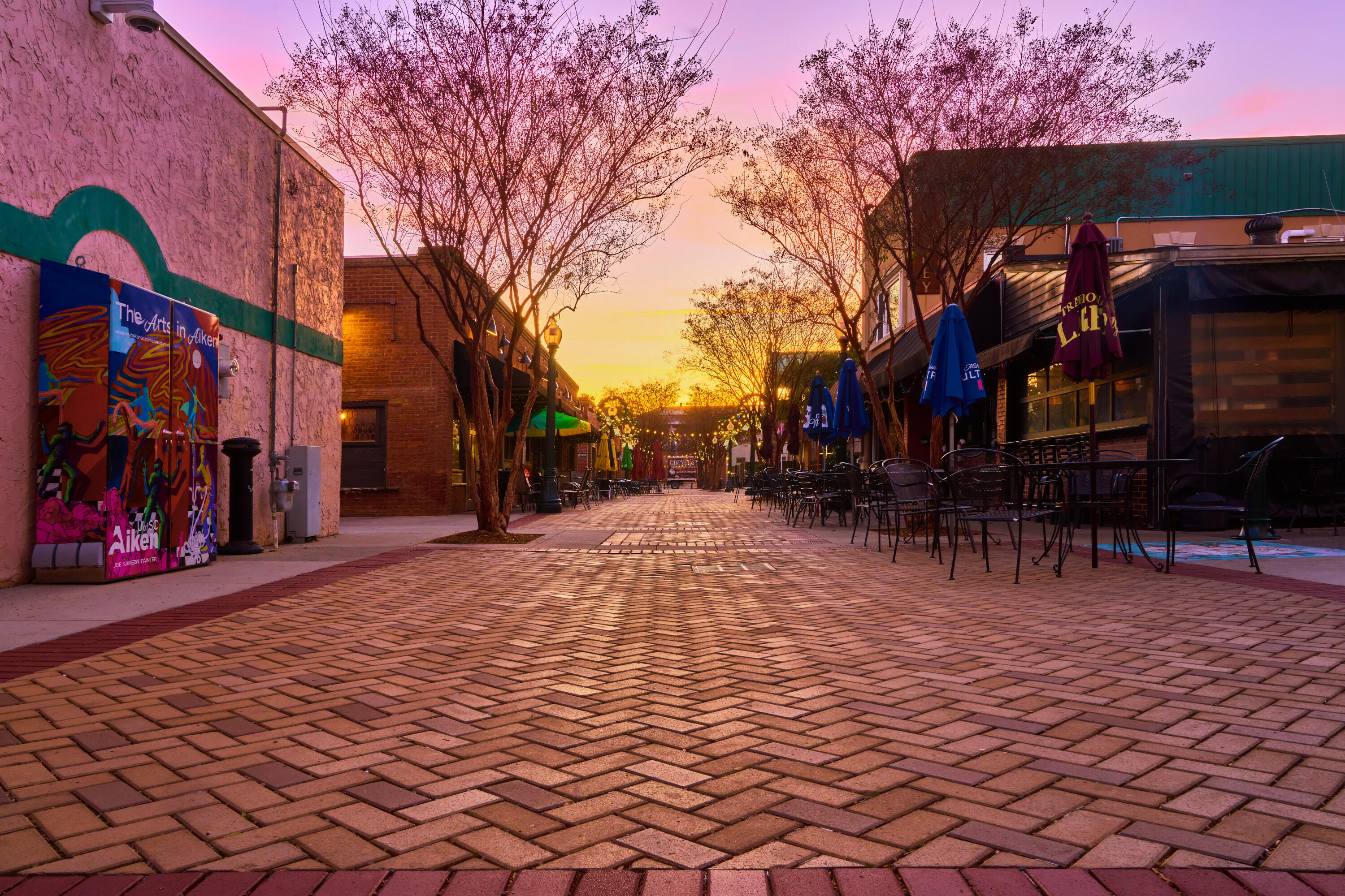 4161 Adelaide Loop Aiken, SC 29803 - Photo 18 of 19 The Alley Sunrise - Aiken SC SA107750