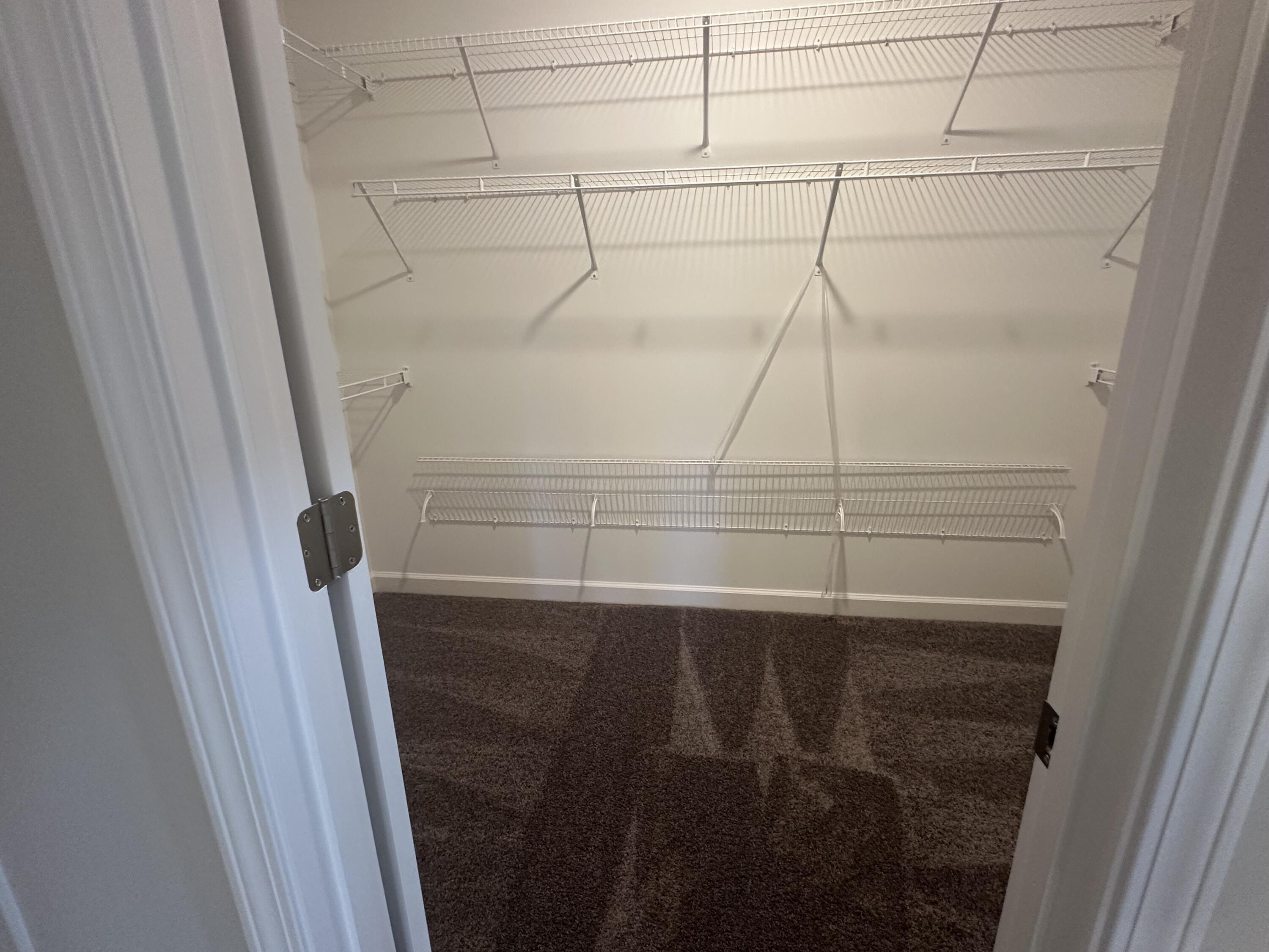 4161 Adelaide Loop Aiken, SC 29803 - Photo 6 of 19 Primary Closet