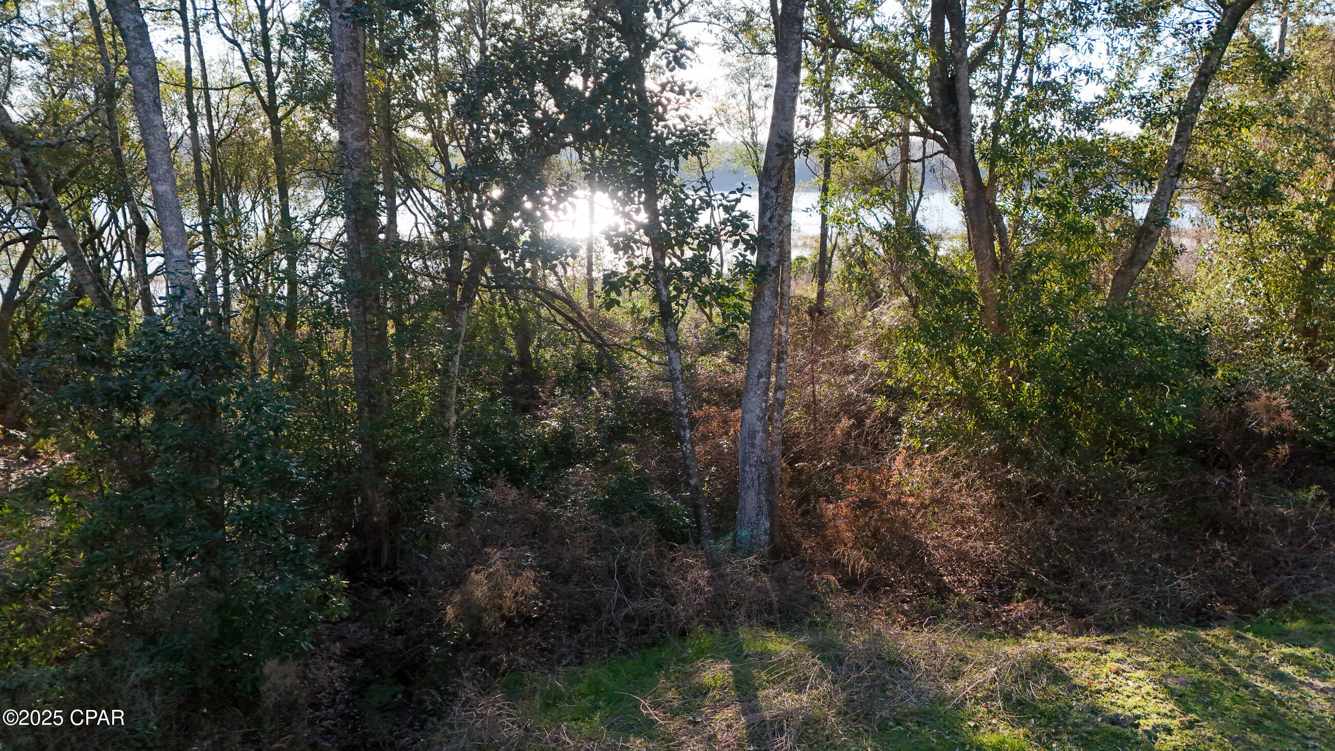3243 Quail Ridge Drive Chipley, FL 32428 - Photo 49 of 50