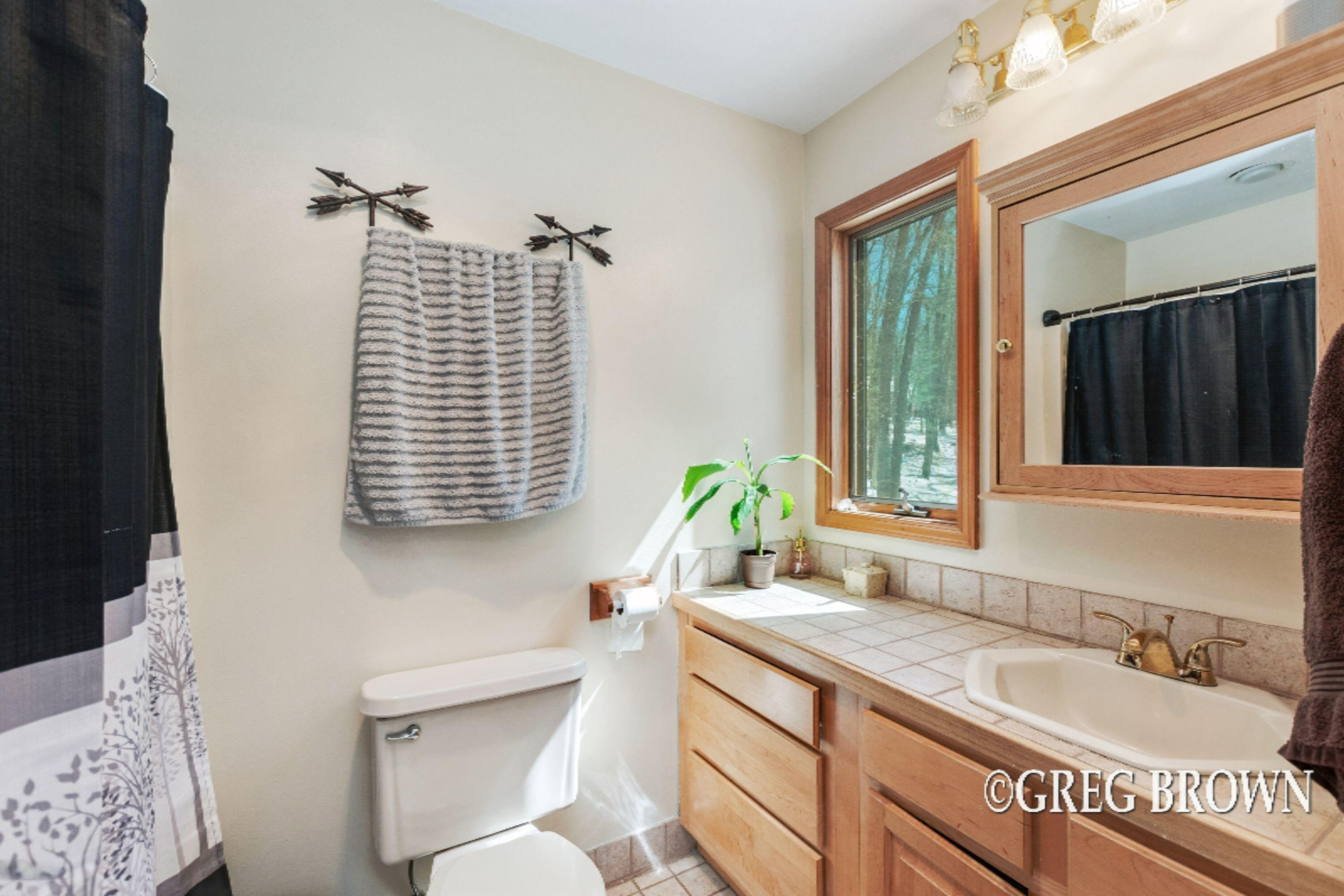 14350 Keiber Road Greenville, MI 48838 - Photo 18 of 27 e1ar3hUO