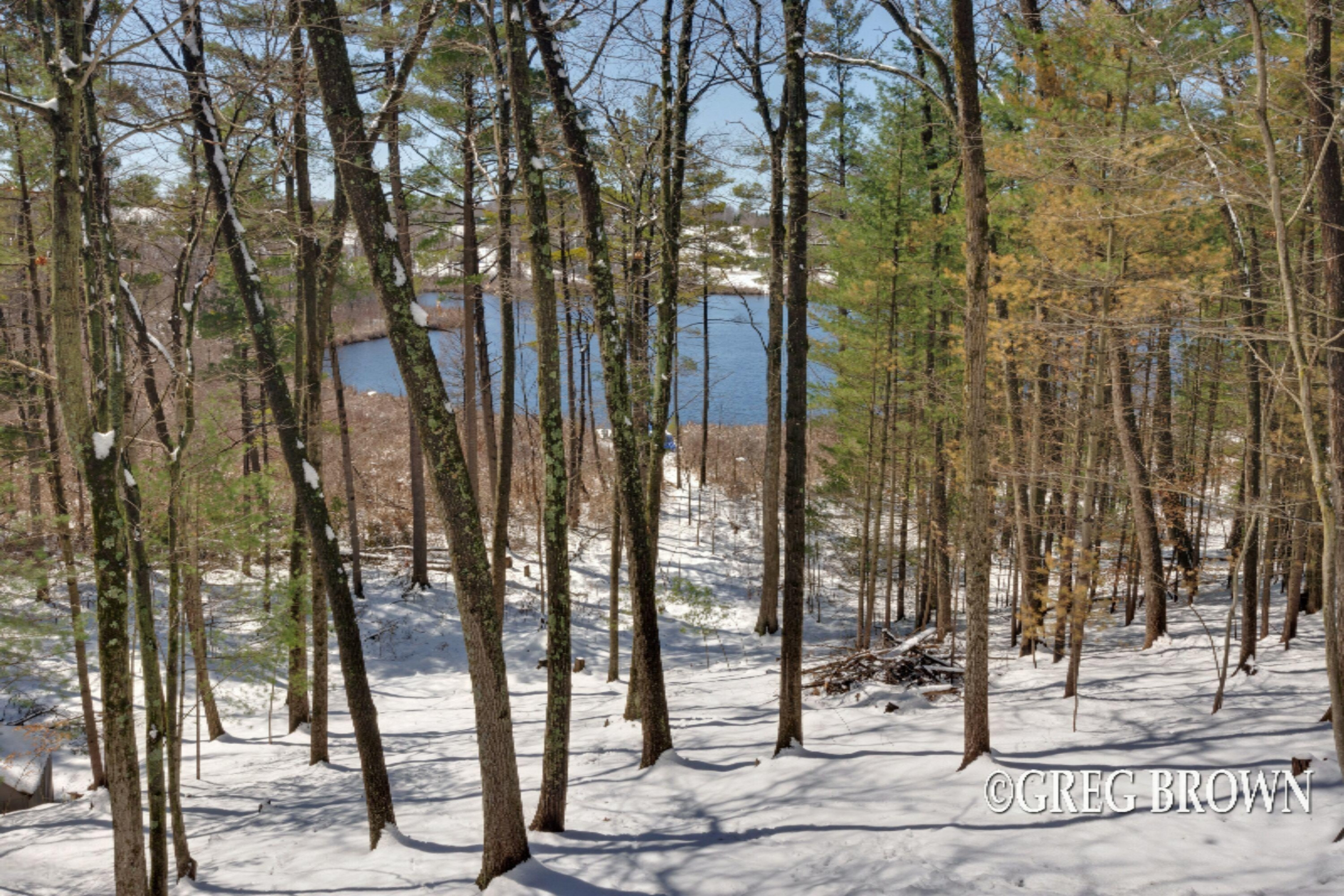 14350 Keiber Road Greenville, MI 48838 - Photo 2 of 27 LYTiKpxQ