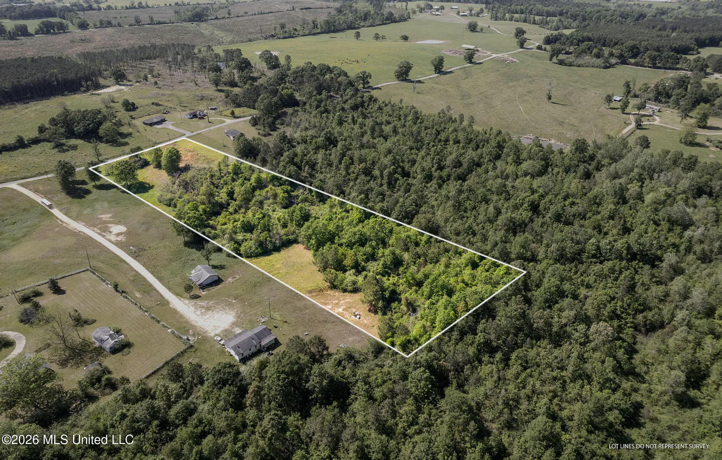 Pine View Road Collins, MS 39428 - Photo 3 of 10 2026-09-14_08-51-44