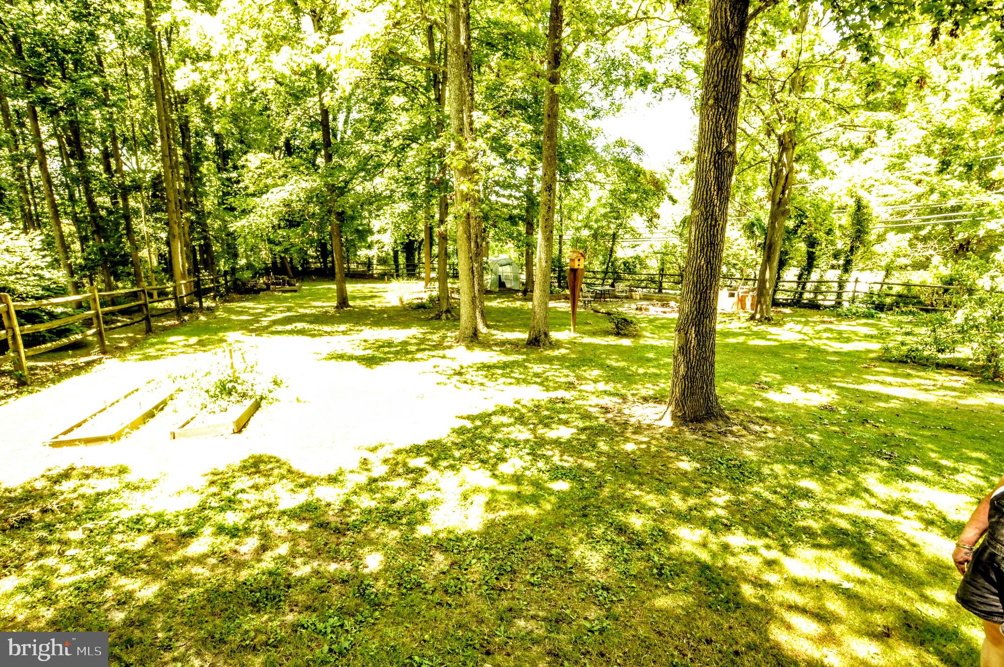Park-like Back Yard