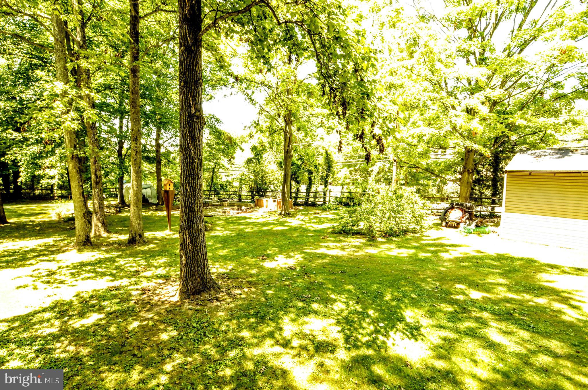 Park-like Back Yard