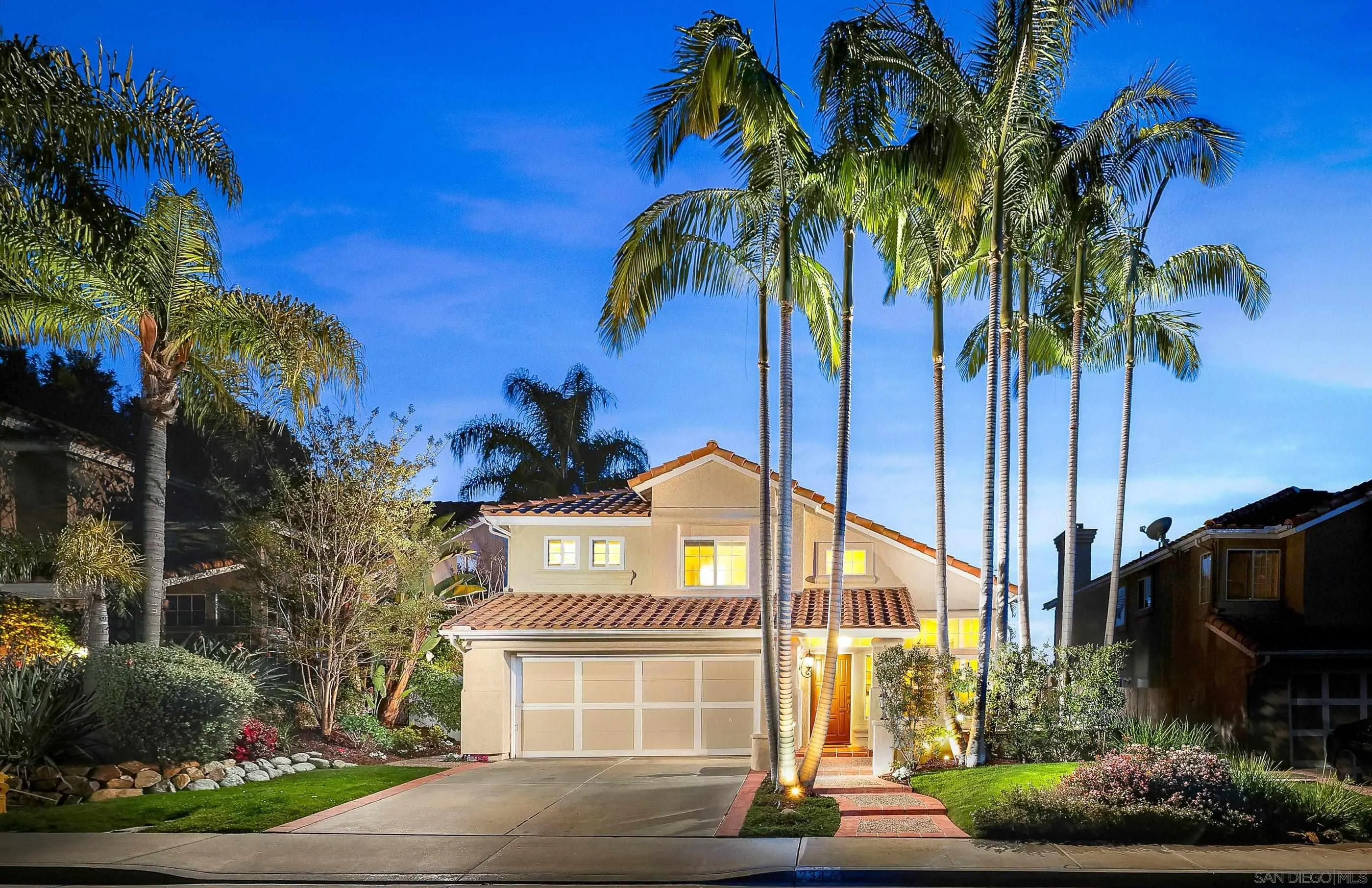 a view of a palm trees and a potted plant