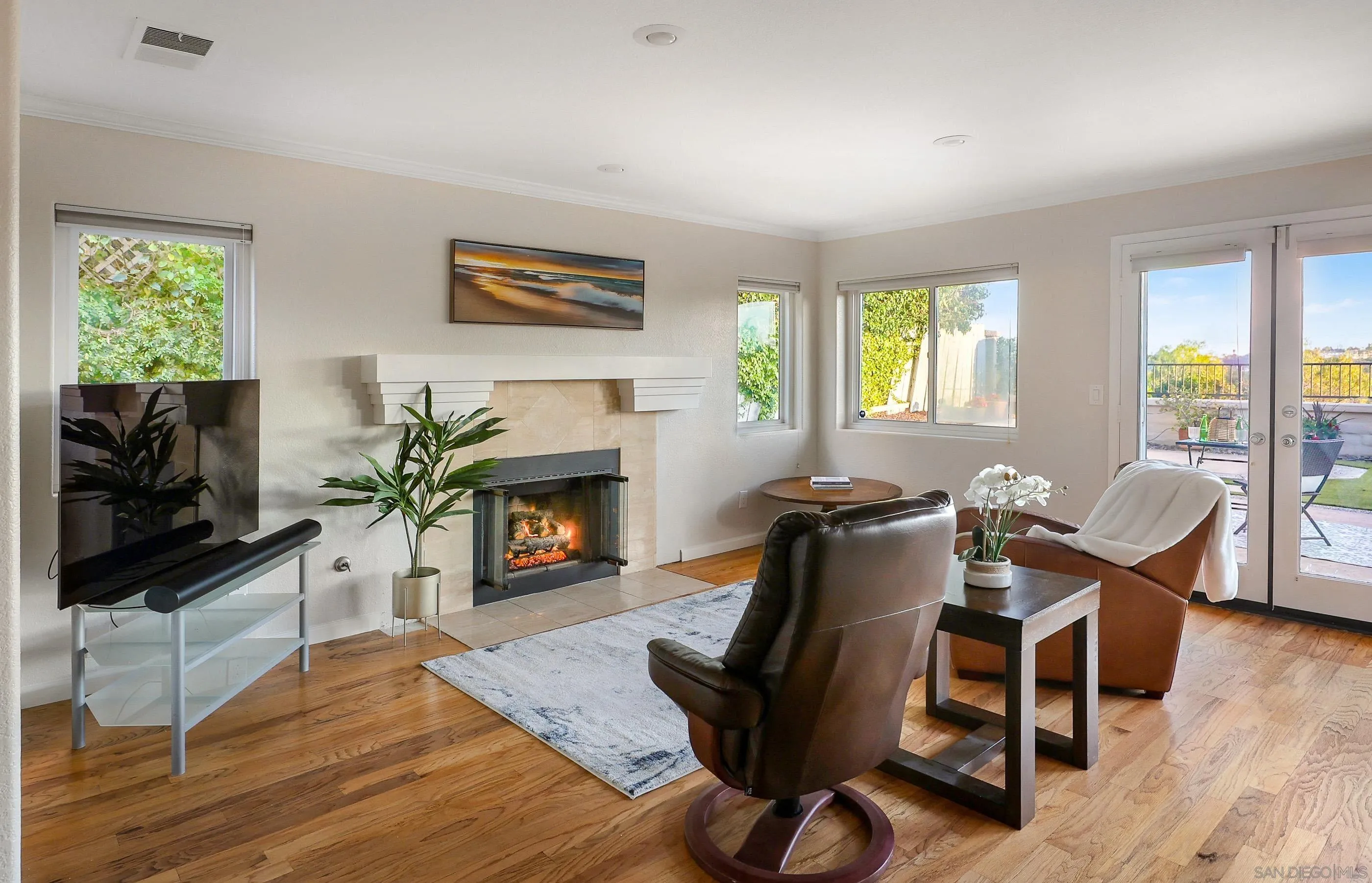 2347 Terraza Ribera Carlsbad, CA 92009 - Photo 18 of 42 a living room with furniture a flat screen tv and a fireplace