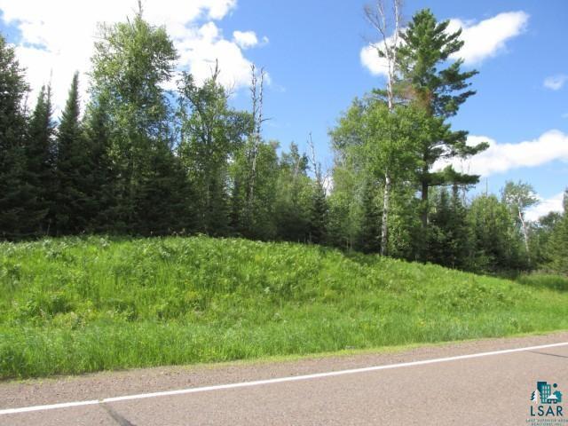 9155 Pequaywan Lake Road Duluth, MN 55803 - Photo 5 of 15 View From Road