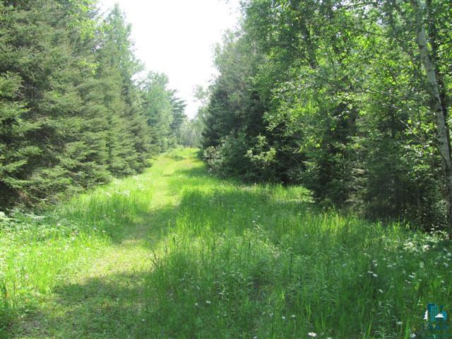 9155 Pequaywan Lake Road Duluth, MN 55803 - Photo 6 of 15 Vacated Old Roadway