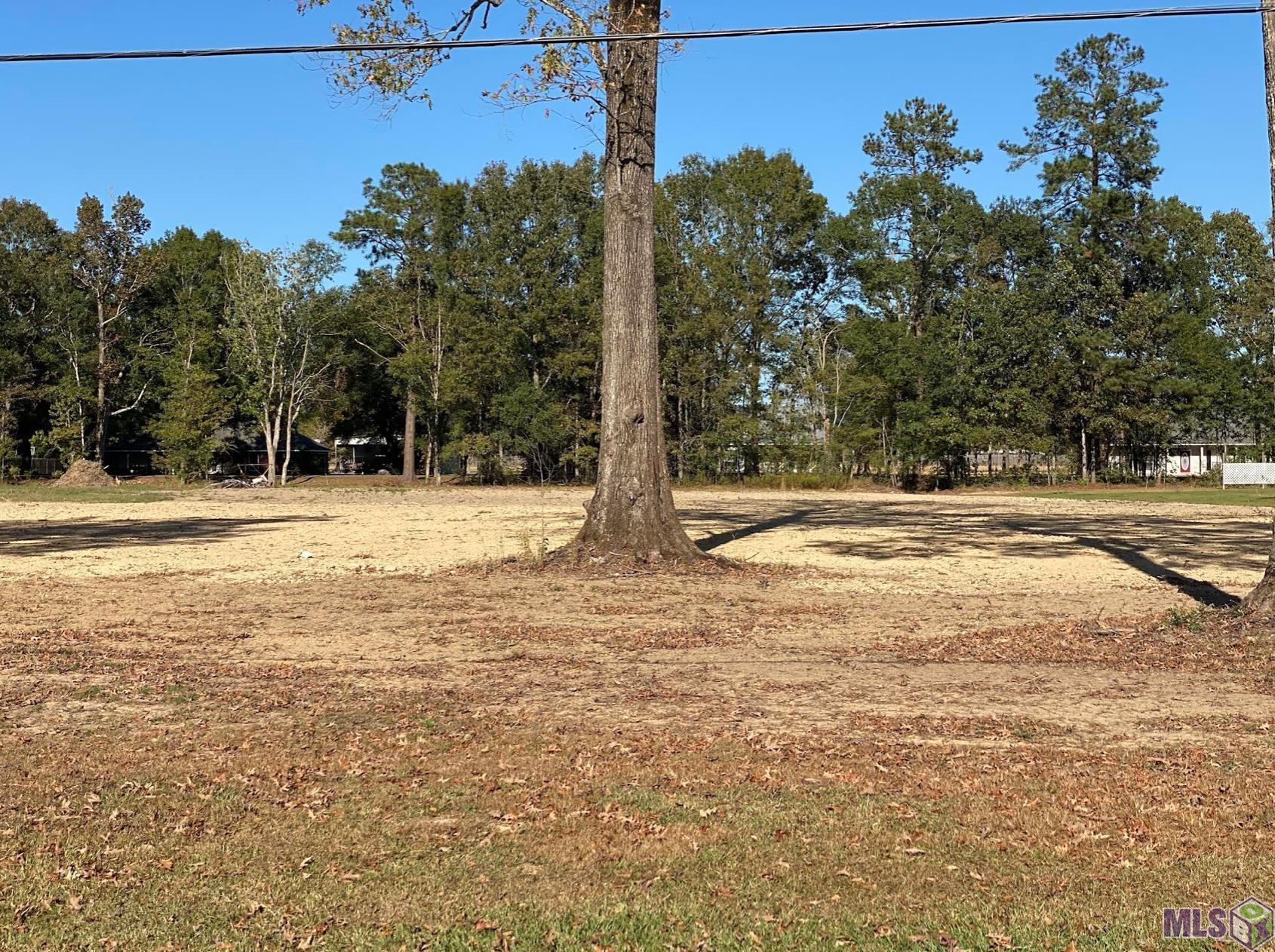 7883 Ben Fugler Road Denham Springs, LA 70706 - Photo 1 of 6 Gallery Image 1