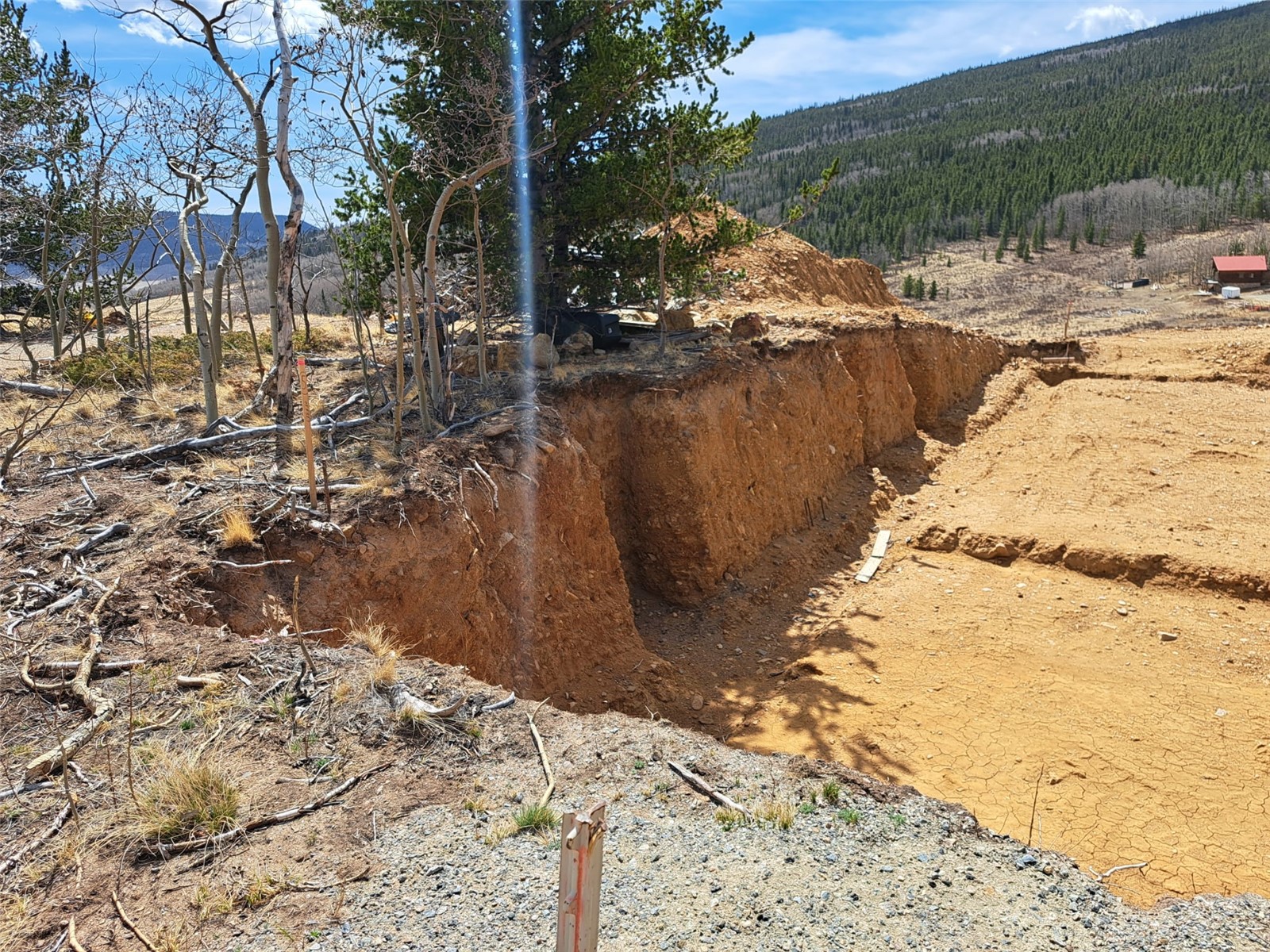 2515 High Creek Road Fairplay, CO 80440 - Photo 11 of 46 a view of a backyard of the ocean
