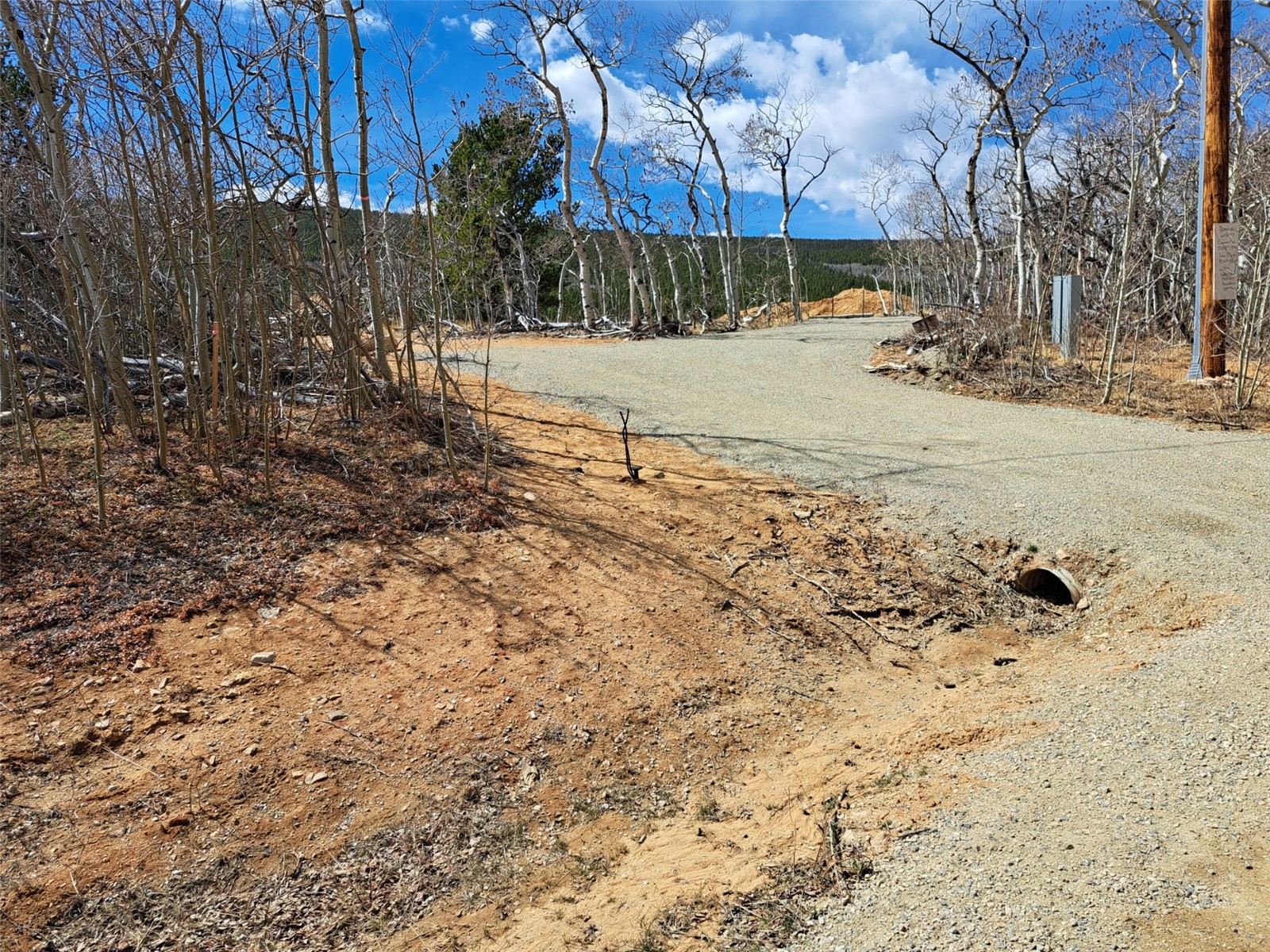 2515 High Creek Road Fairplay, CO 80440 - Photo 12 of 46 a view of a yard with a tree