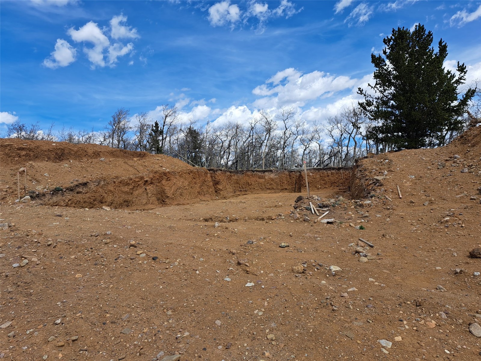 2515 High Creek Road Fairplay, CO 80440 - Photo 14 of 46 a view of a dry yard with wooden fence