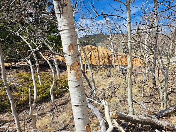 $189,000 | 2515 High Creek Road, Fairplay, CO 80440