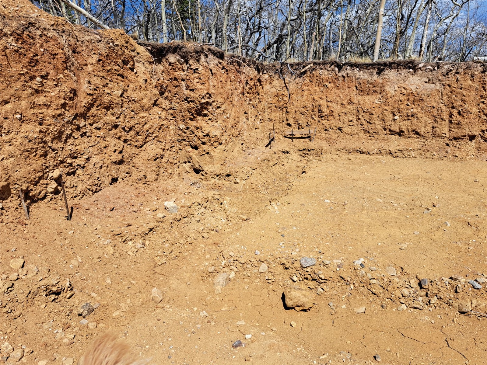 2515 High Creek Road Fairplay, CO 80440 - Photo 18 of 46 a view of yard covered with snow in the background