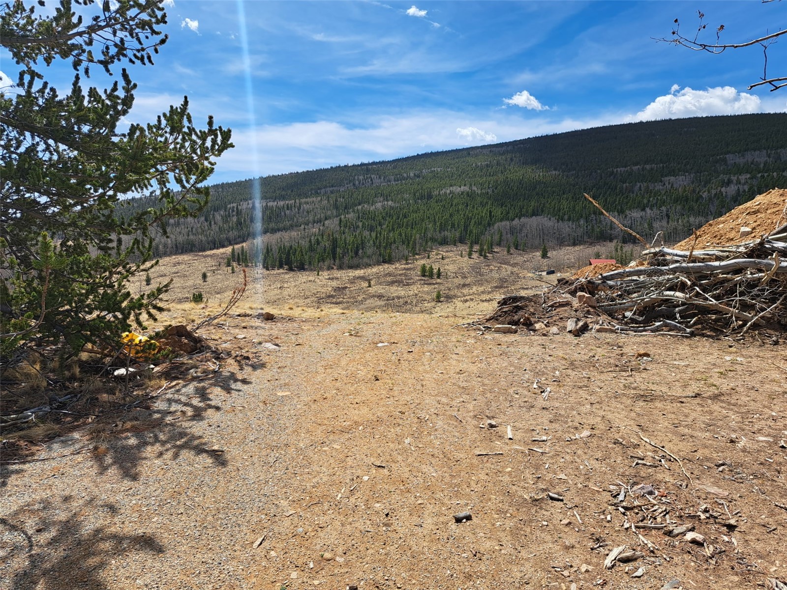 2515 High Creek Road Fairplay, CO 80440 - Photo 25 of 46 a view of a backyard of a house