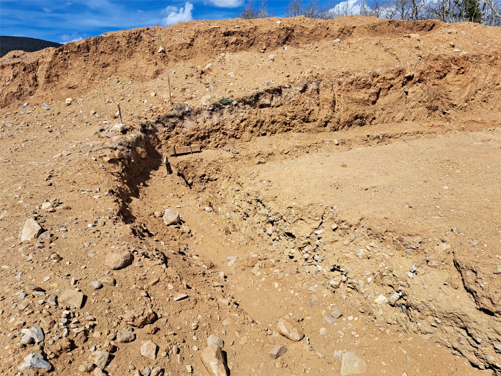 2515 High Creek Road Fairplay, CO 80440 - Photo 26 of 46 a view of a snow on the beach