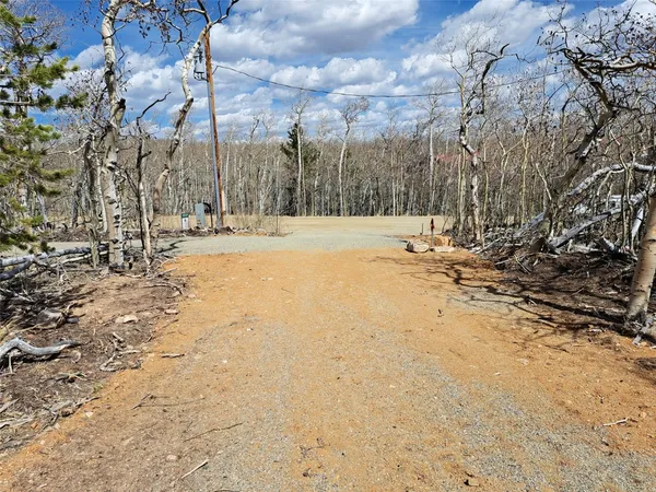 $189,000 | 2515 High Creek Road, Fairplay, CO 80440