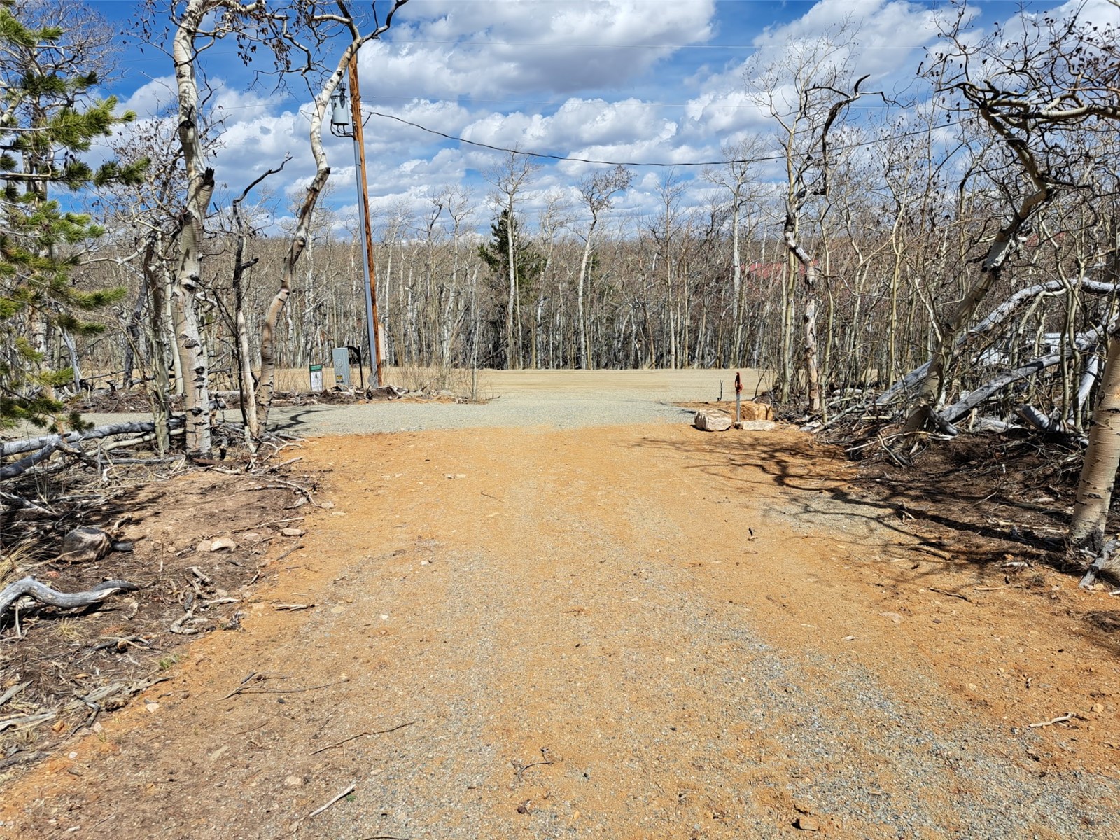 2515 High Creek Road Fairplay, CO 80440 - Photo 28 of 46 a view of a yard with snow on the road