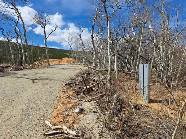 $189,000 | 2515 High Creek Road, Fairplay, CO 80440