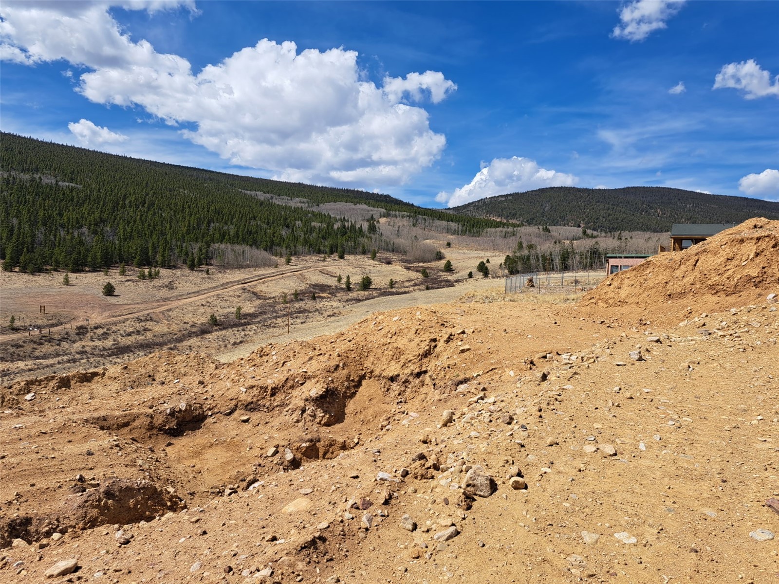 2515 High Creek Road Fairplay, CO 80440 - Photo 33 of 46 a view of a dry yard with trees