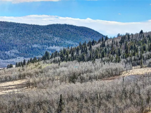 $189,000 | 2515 High Creek Road, Fairplay, CO 80440