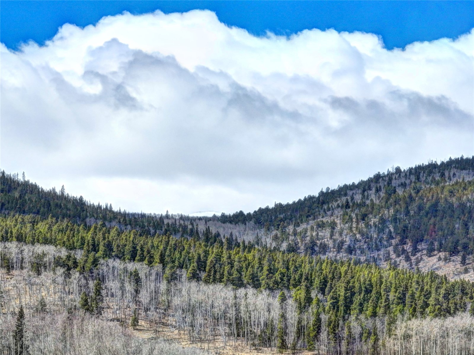 2515 High Creek Road Fairplay, CO 80440 - Photo 43 of 46 a view of a lake in middle of forest