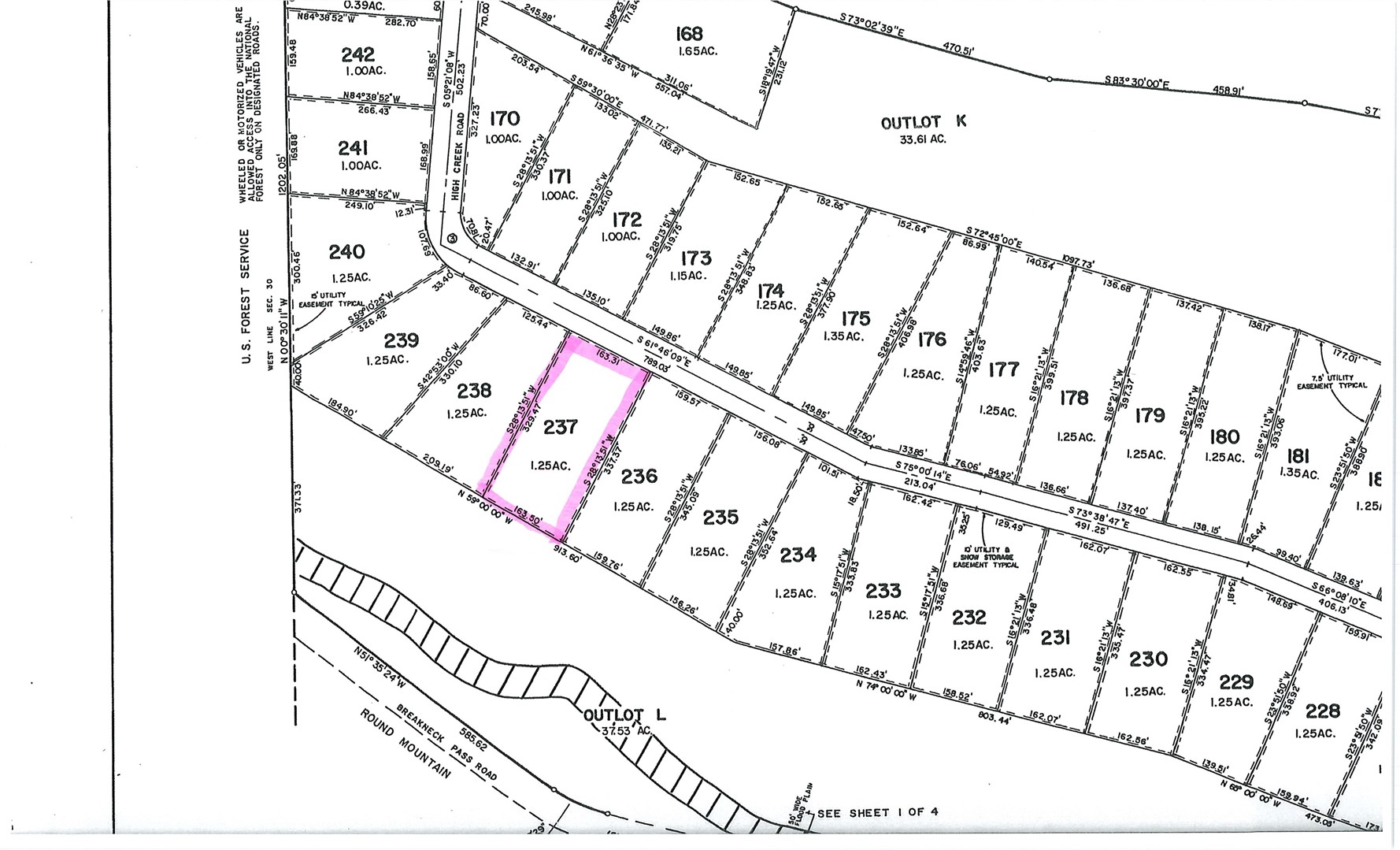 2515 High Creek Road Fairplay, CO 80440 - Photo 45 of 46 a black and white photo of a rug